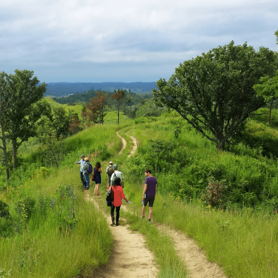 Tauke Outdoor Recreation Fund