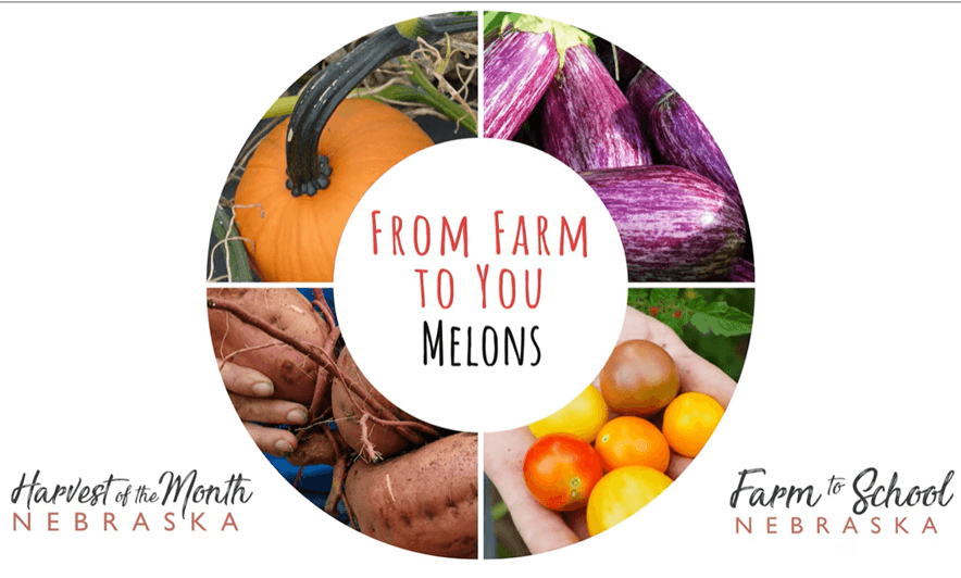 Farm to You - Melons, West End Farms