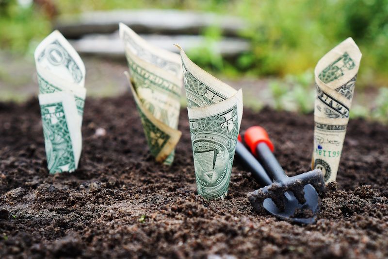 A few pieces of one dollar bills rolled up and put in the dirt next to a spade.