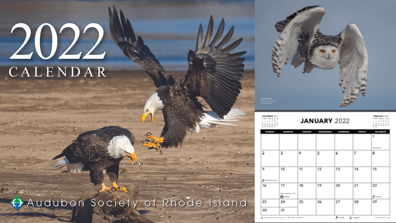 The 2022 Calendar
