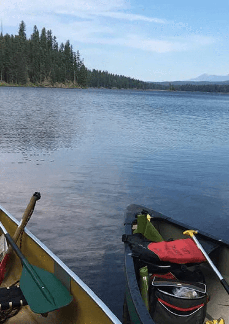 Monitoring & Research