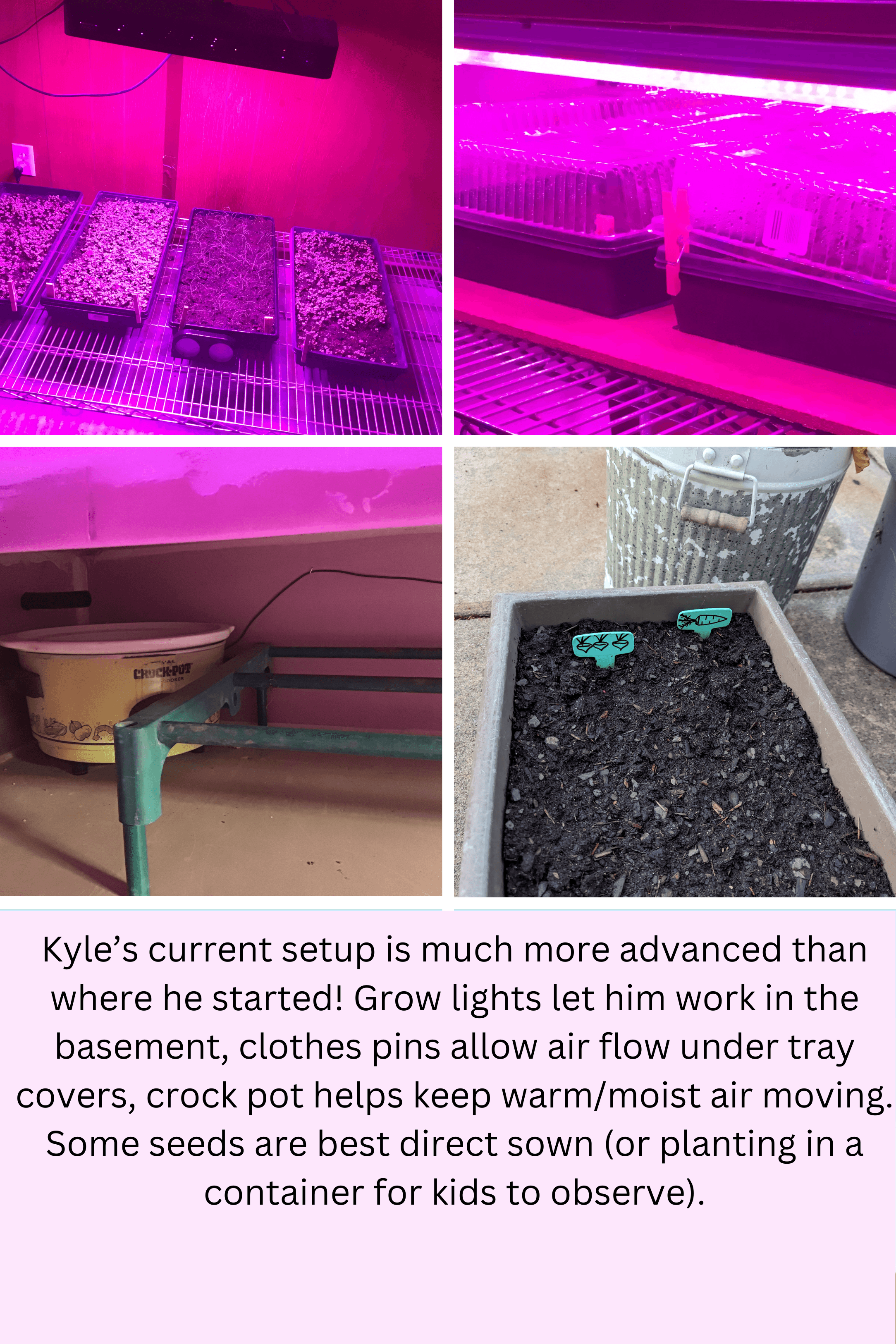 seed starting under grow lights, caption reads: Kyle’s current setup is much more advanced than where he started! Grow lights let him work in the basement, clothes pins allow air flow under tray covers, crock pot helps keep warm/moist air moving. Some see