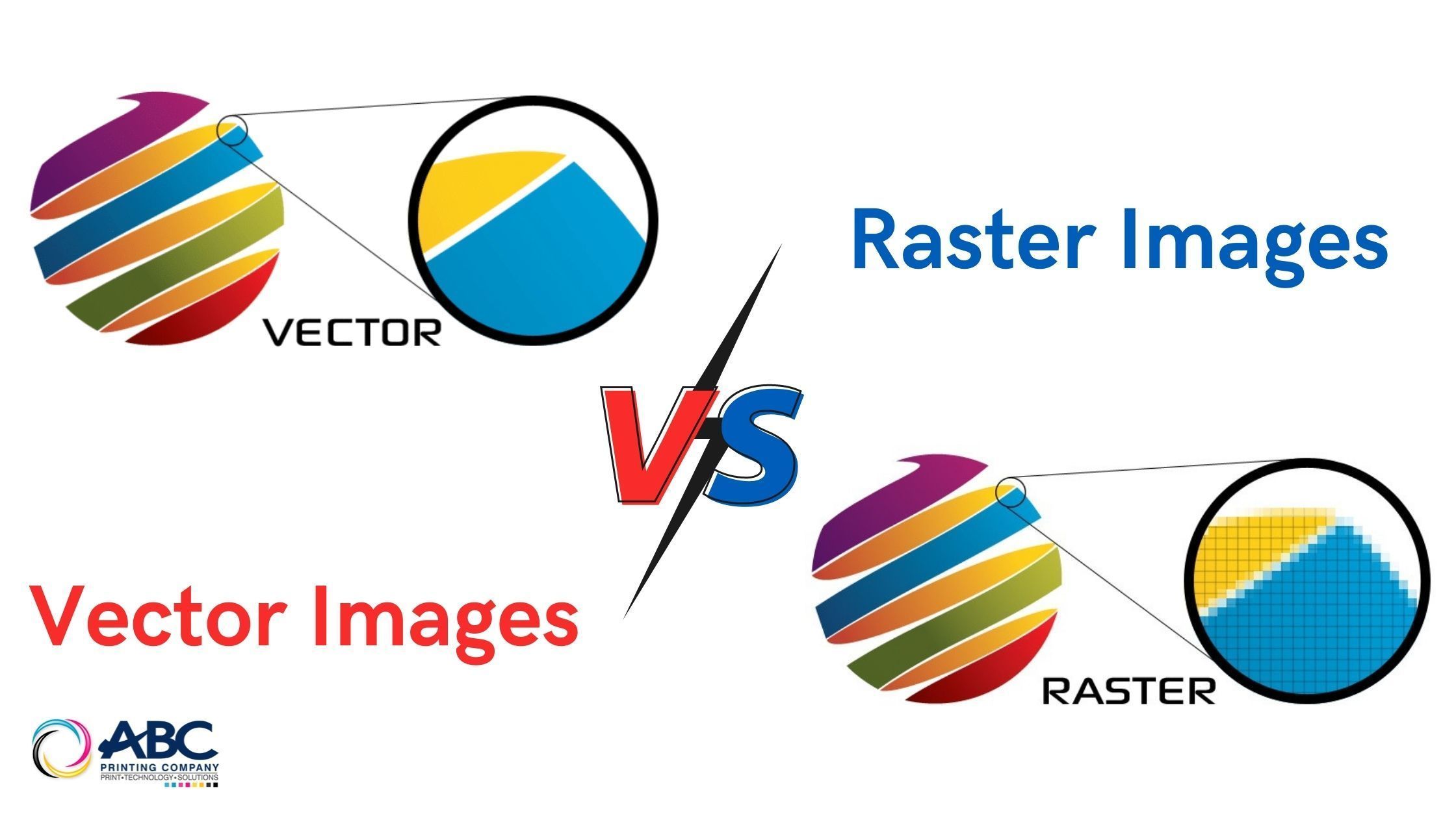 differentiaite between vector and raster data structure