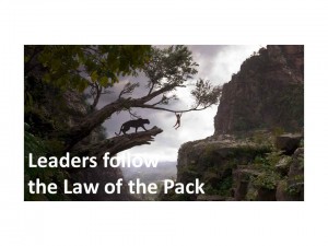 Leaders Follow the Law of the Pack