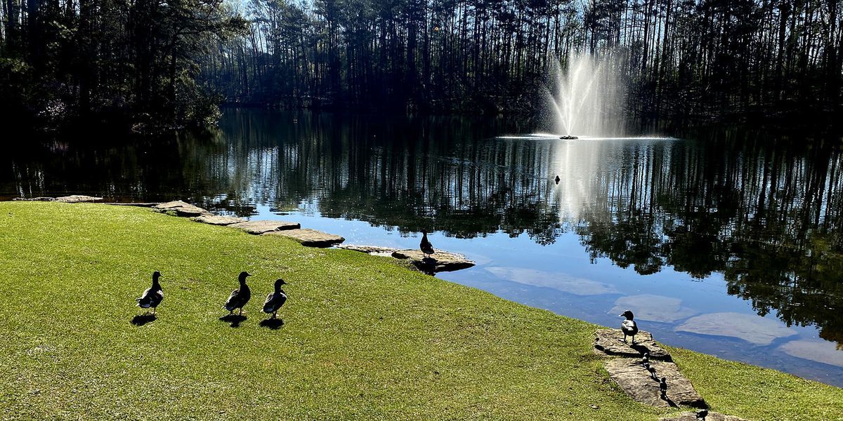 Aldridge Gardens Nature & Art Hoover, Alabama