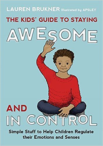 The Kid's Guide To Staying Awesome And In Control