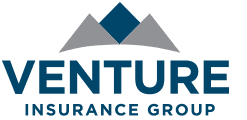 Venture Insurance Group Inc.