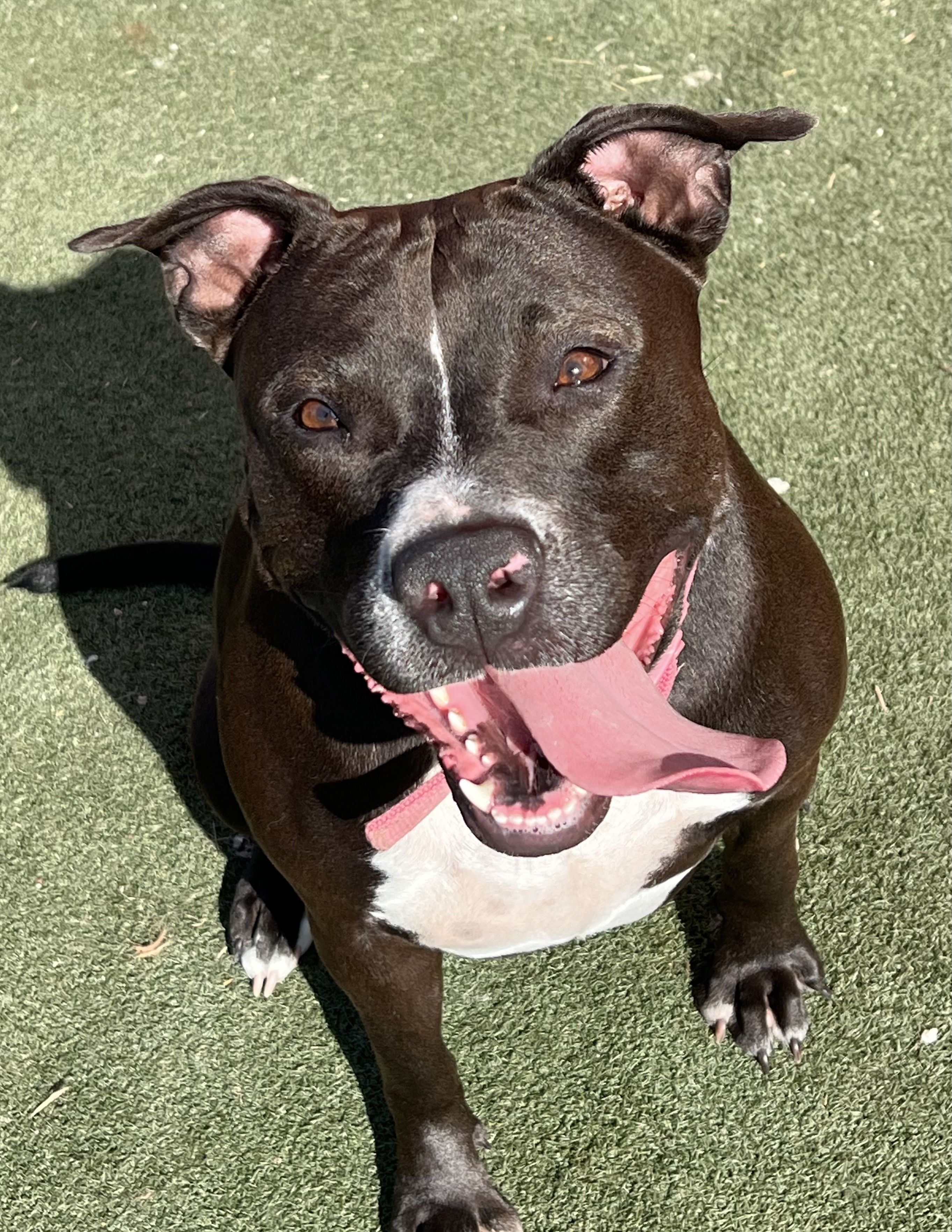 Rosie