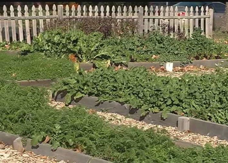 Partnership Hopes To Bring Compost To Omaha Metro