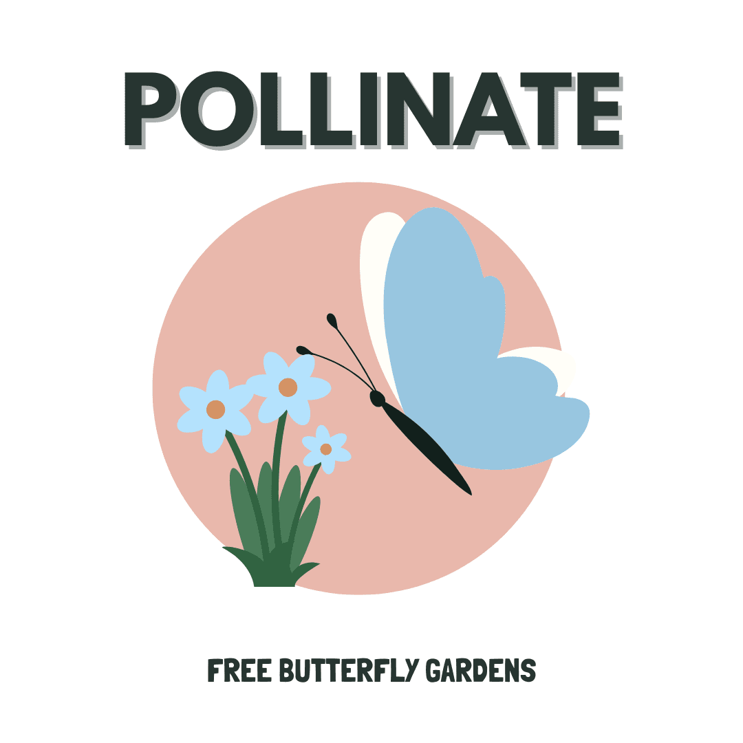Pollinate