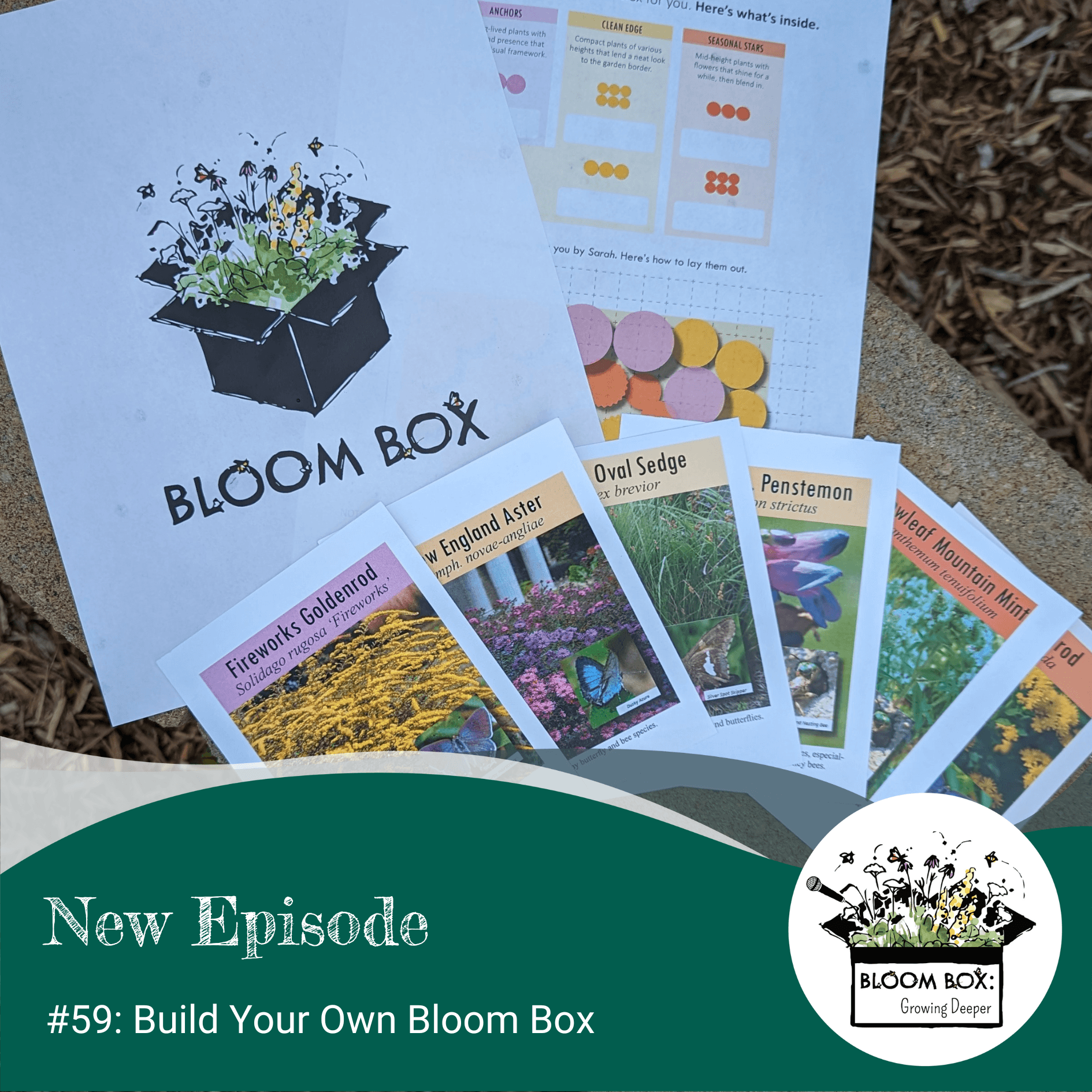 #59: Build Your Own Bloom Box