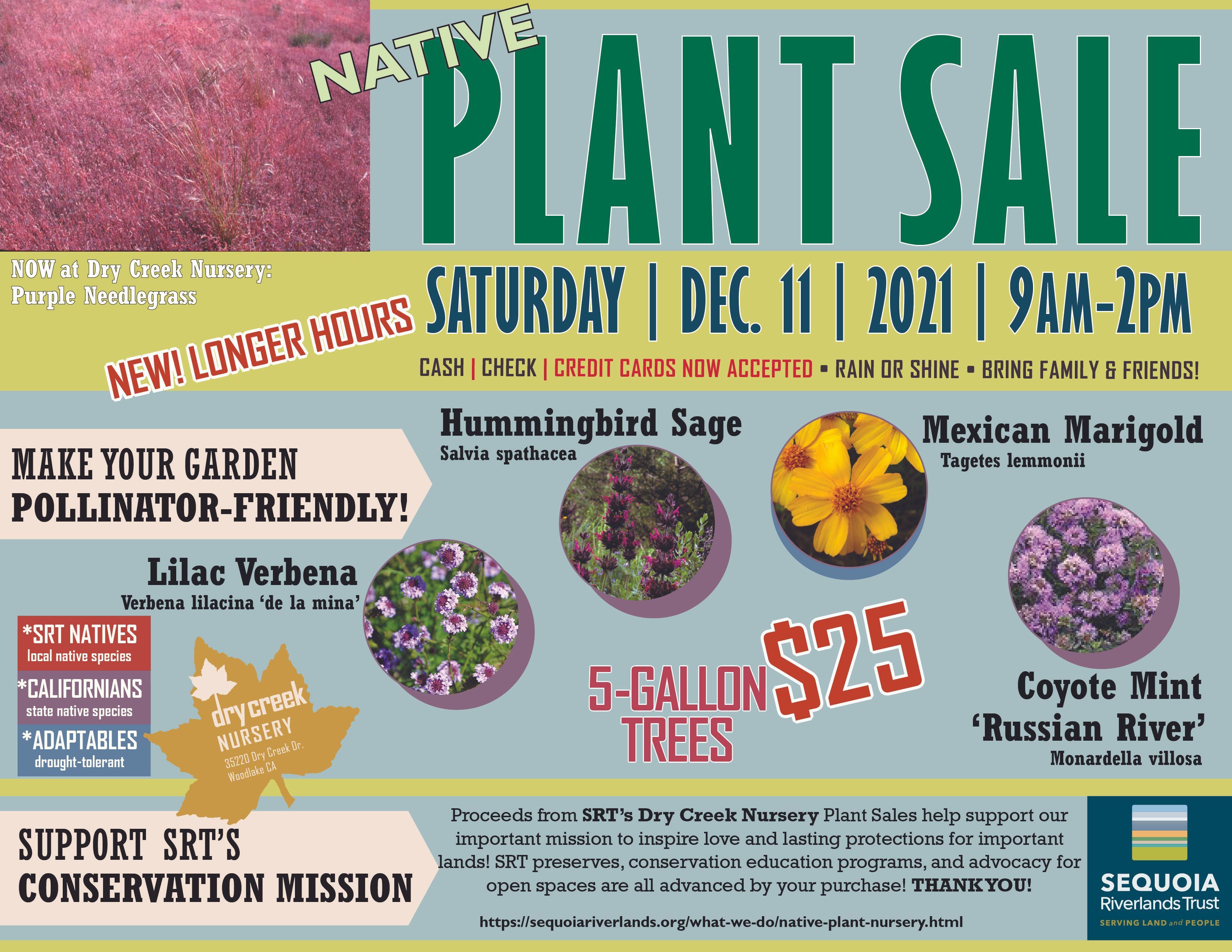 Boost winter gardening efforts at Dry Creek Nursery Winter Plant Sale 12/11
