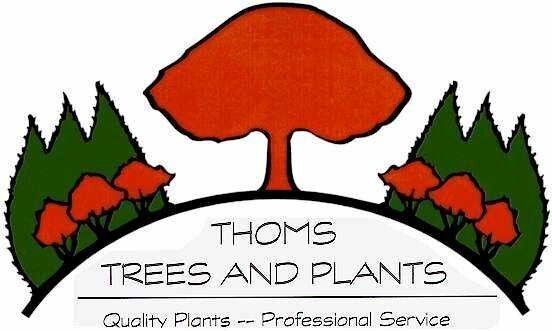 Thoms Trees and Plants