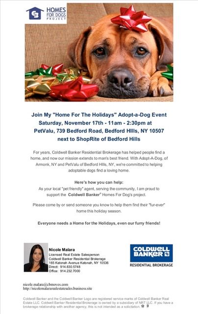 Event Calendar Coldwell Banker, Adopt A Dog Armonk