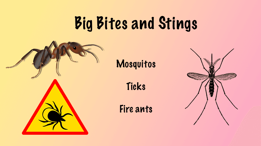 bug bites and stings mosquito tick ant