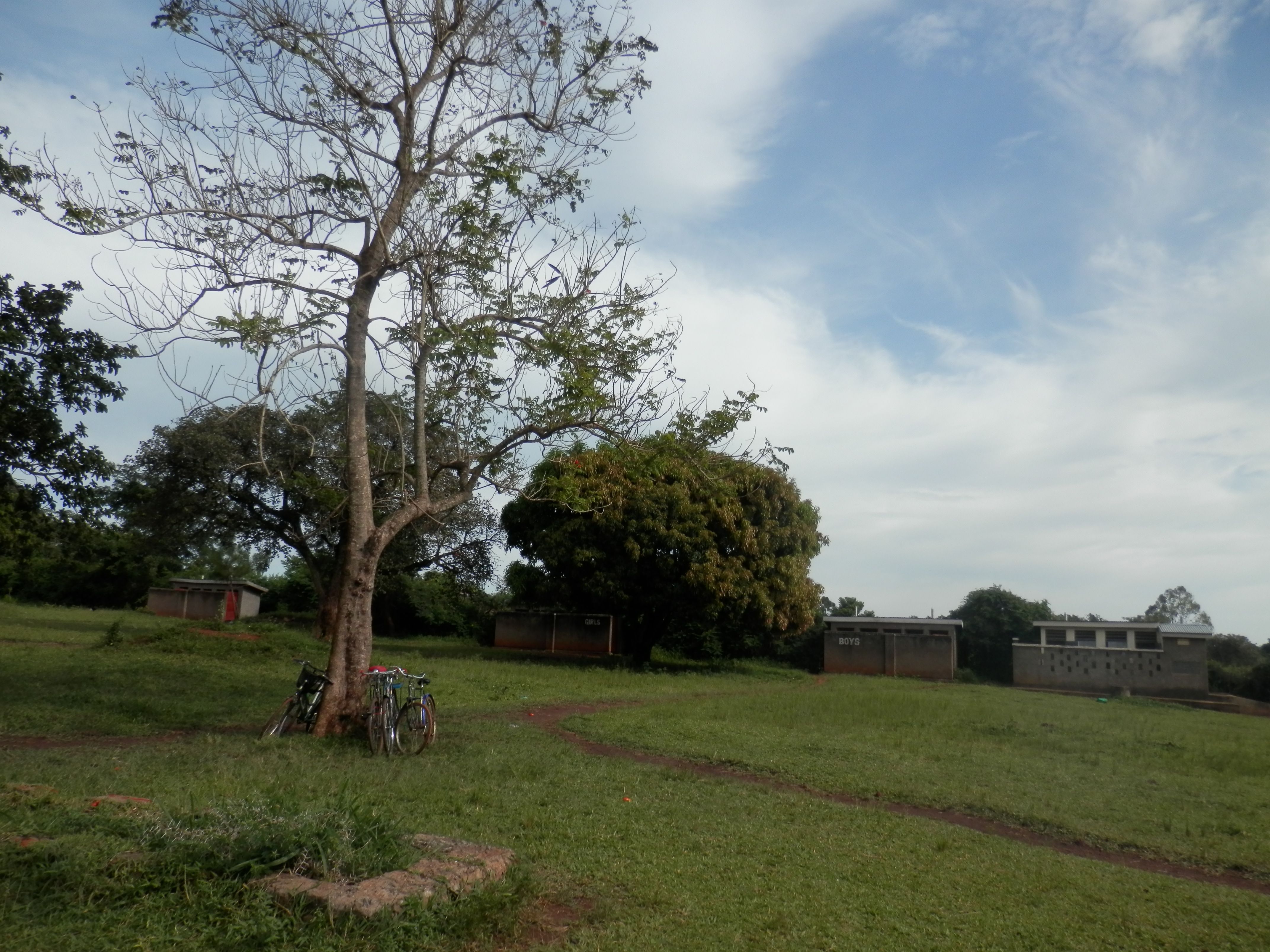 PA282230.JPG