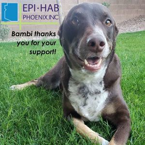 Thank you Epi-Hab!