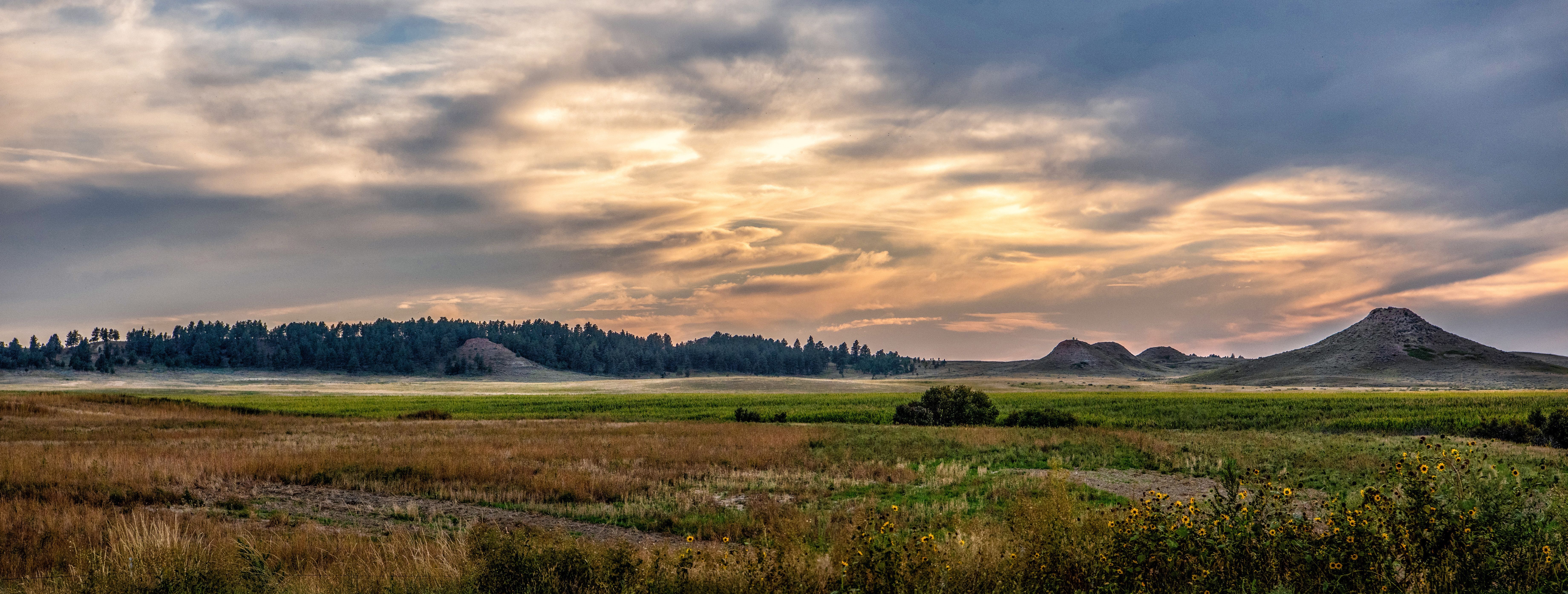 Hills and Pines in front of a sunset 