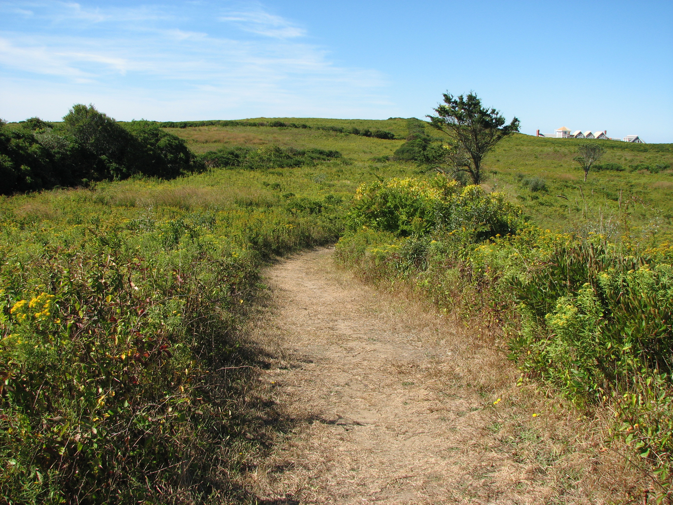 Audubon Society of Rhode Island Environment Organization Non-Profit Earth Day History Ways to Green your Life Tips