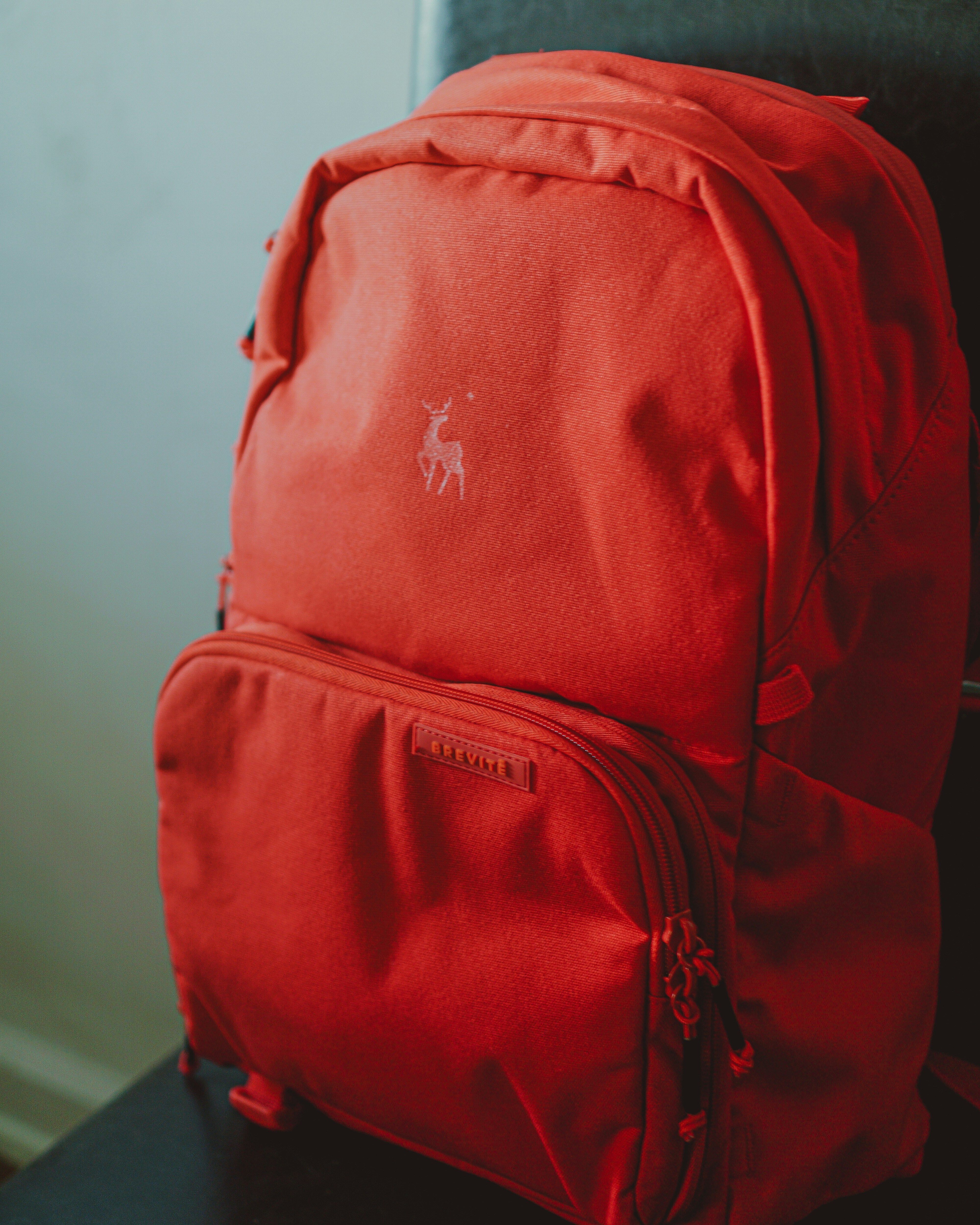 Amazon Wish List for Back to School Bash