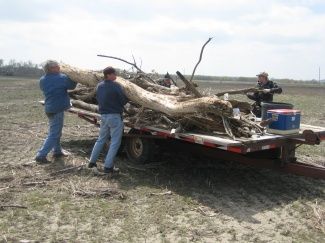 Loading Timber