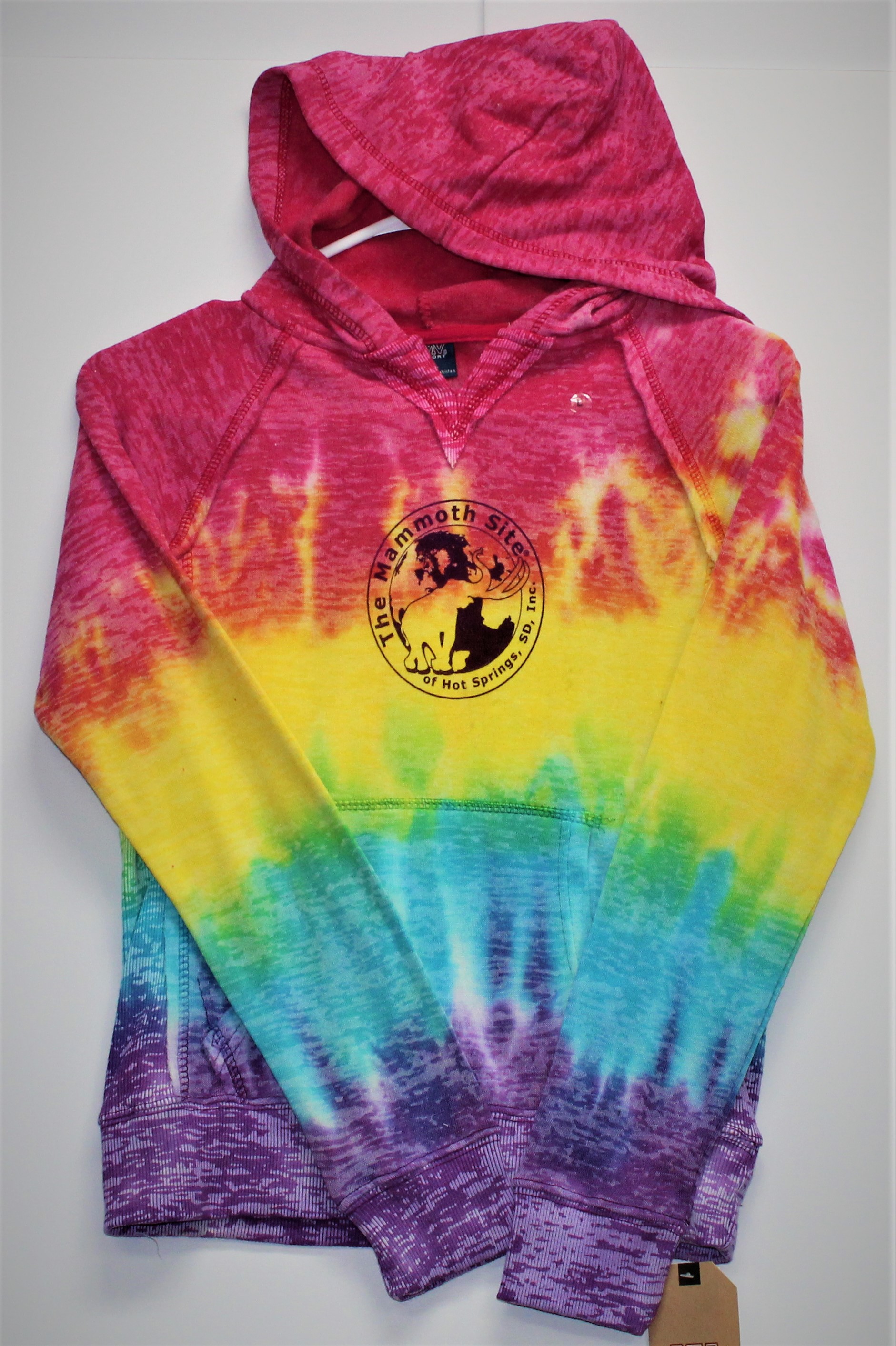 Courtney Rainbow Stripe Pullover Hoodie