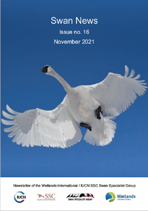 Looking for information about the world's swan species? Check out the Swan News of the Swan Specialist Group