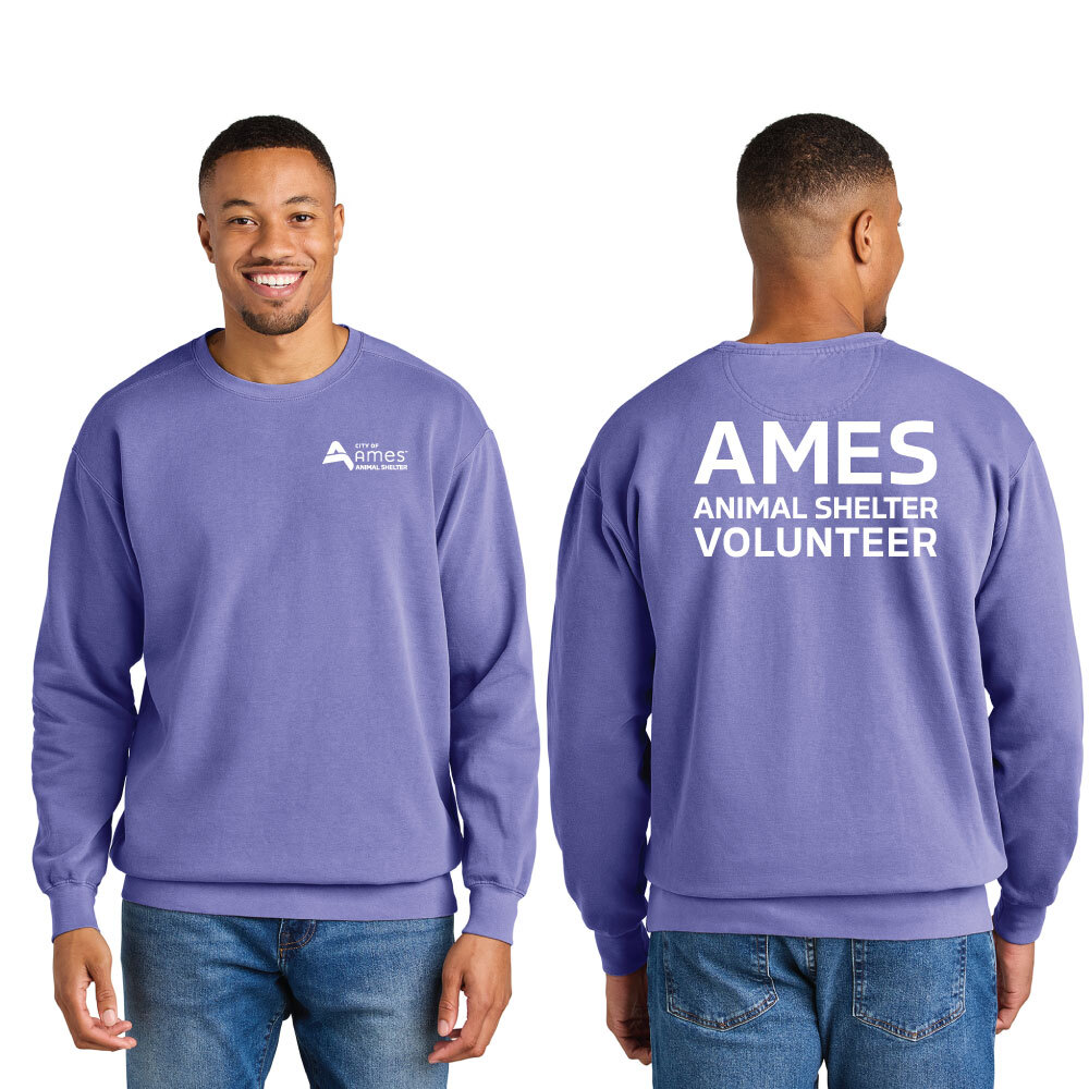 Comfort Colors® Ring Spun Crewneck Sweatshirt