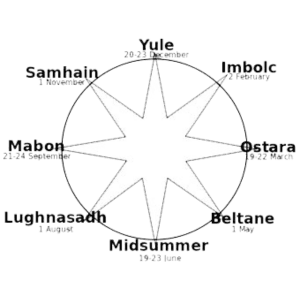 IMG-6517