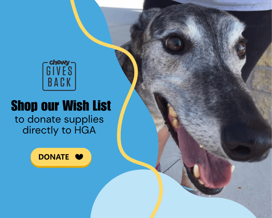 Shop our wishlist on Chewy 