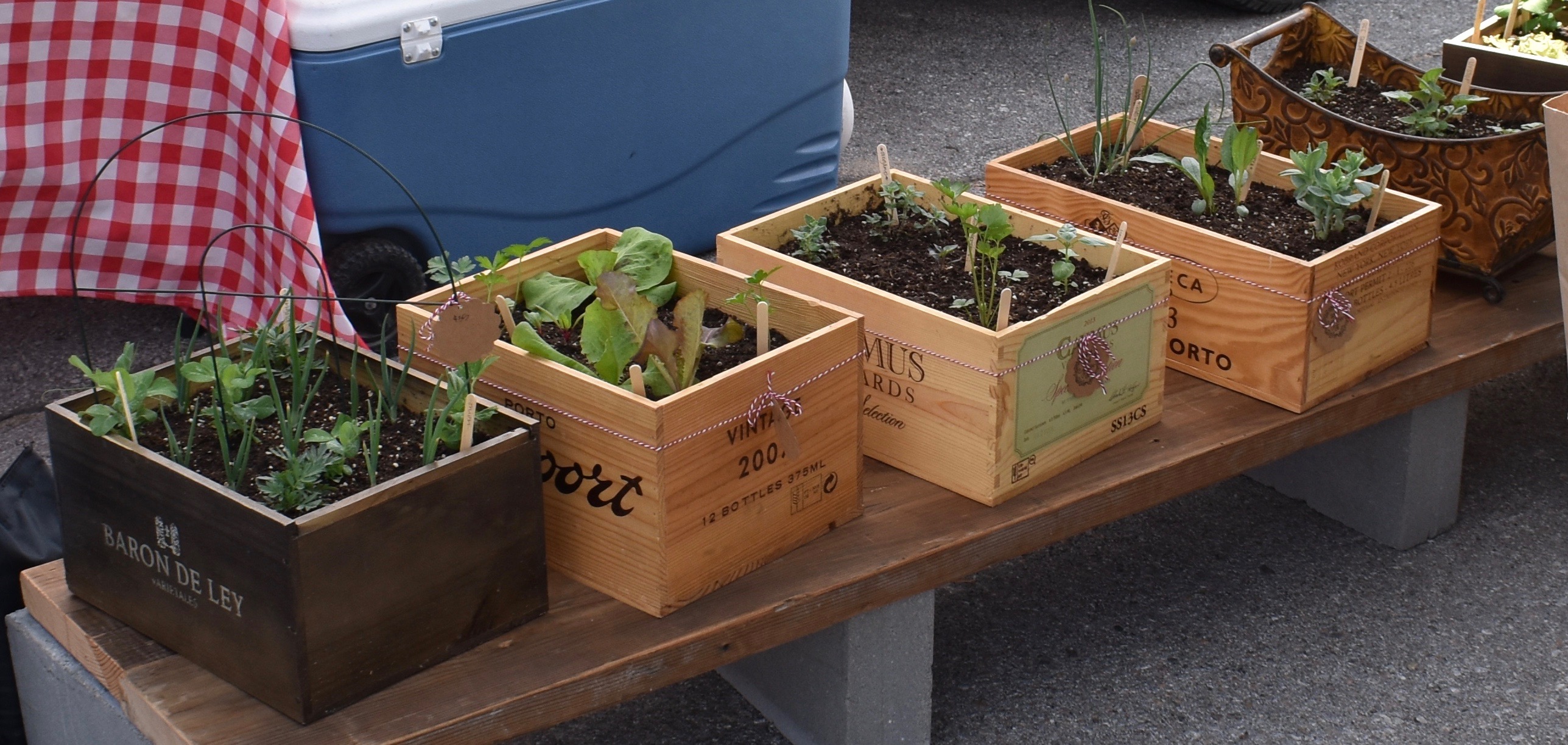 Seed Grow Eat*