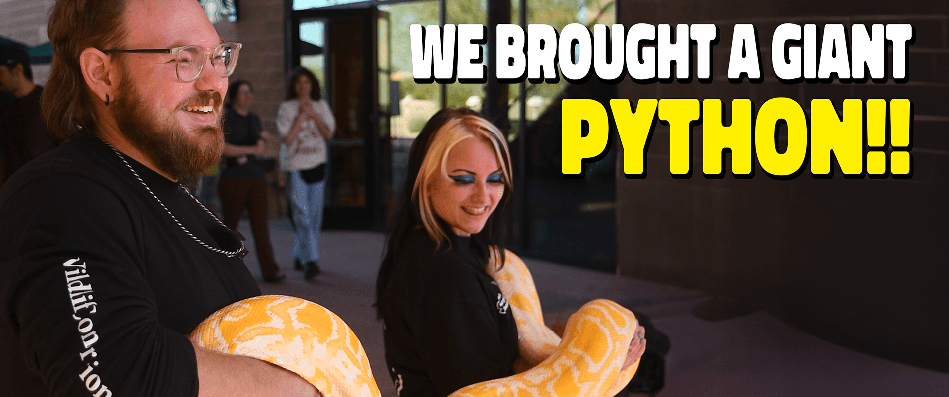 New Video on YouTube!