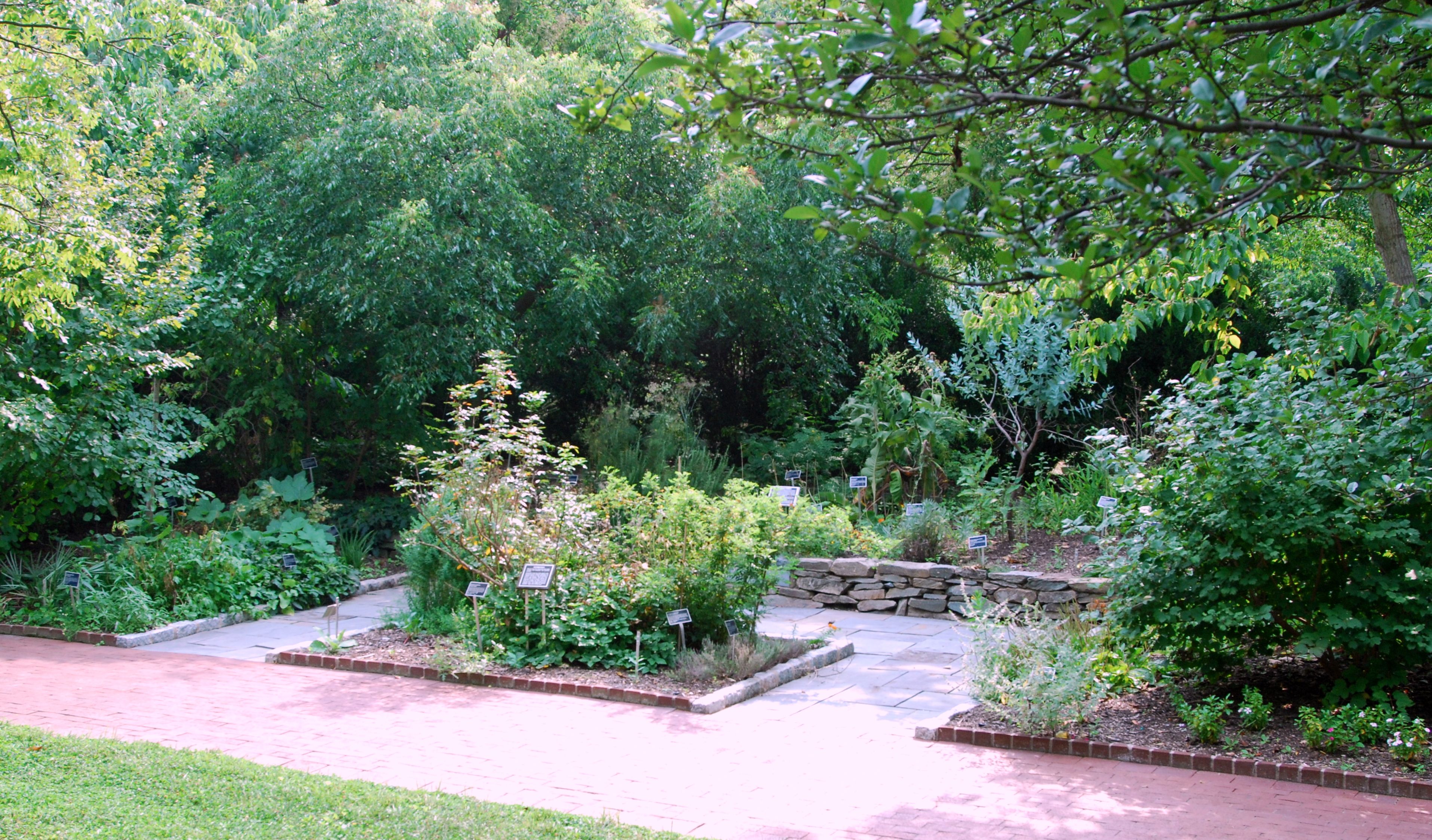Medicinal Garden