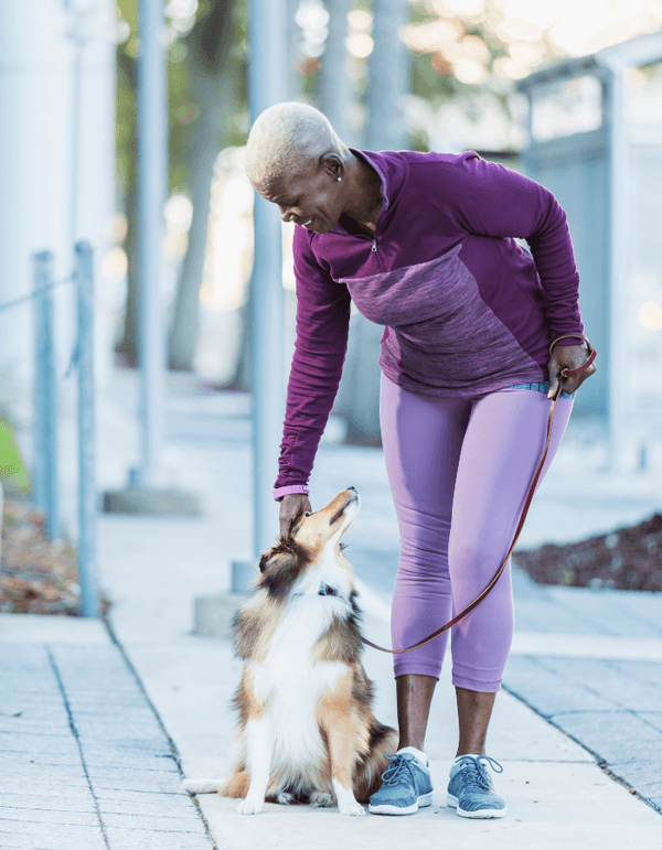 Home Connections Area Agency on Aging