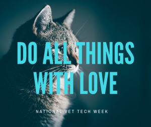 National Vet Tech Week : Meet Nikole