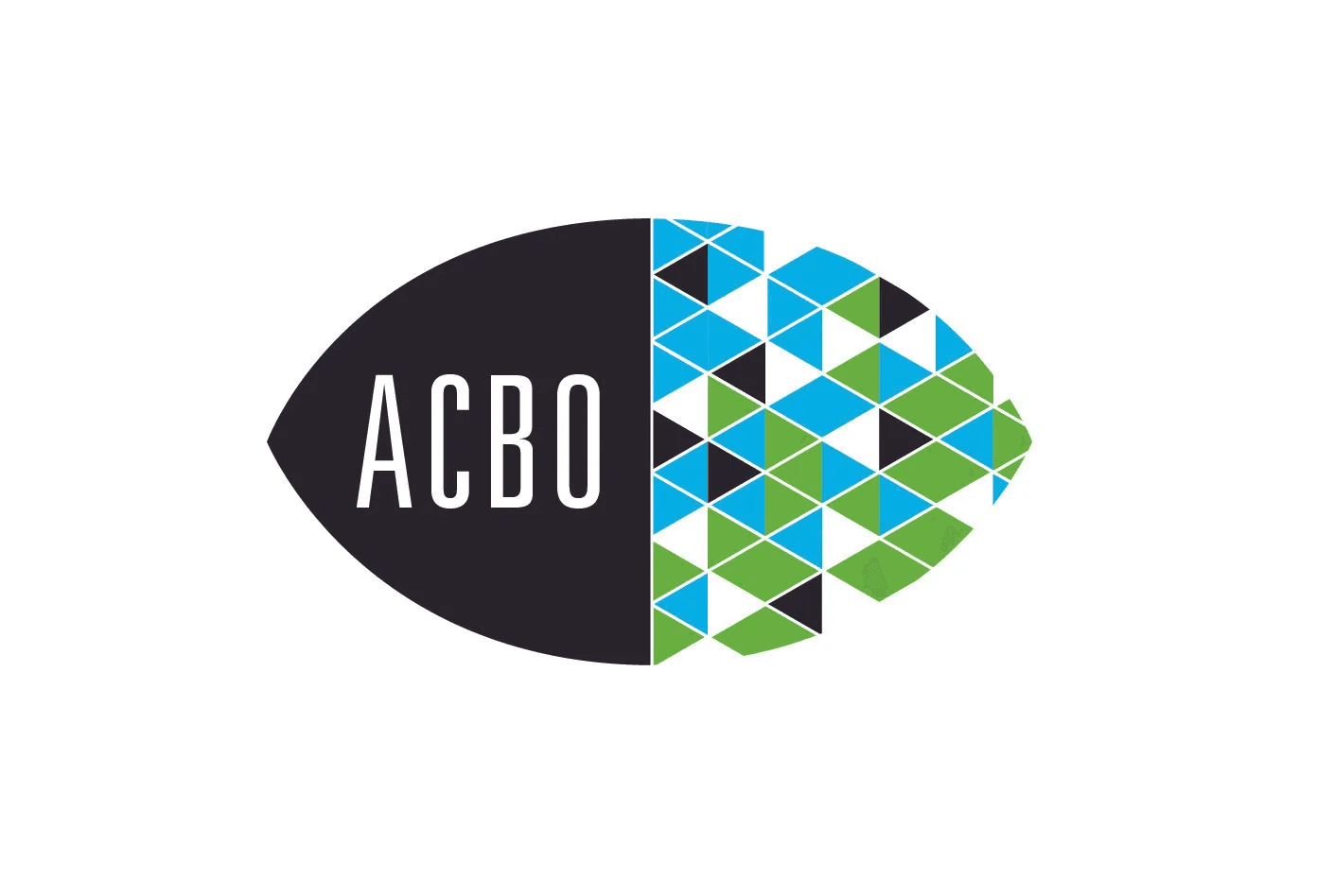 American Council of The Blind of Ohio