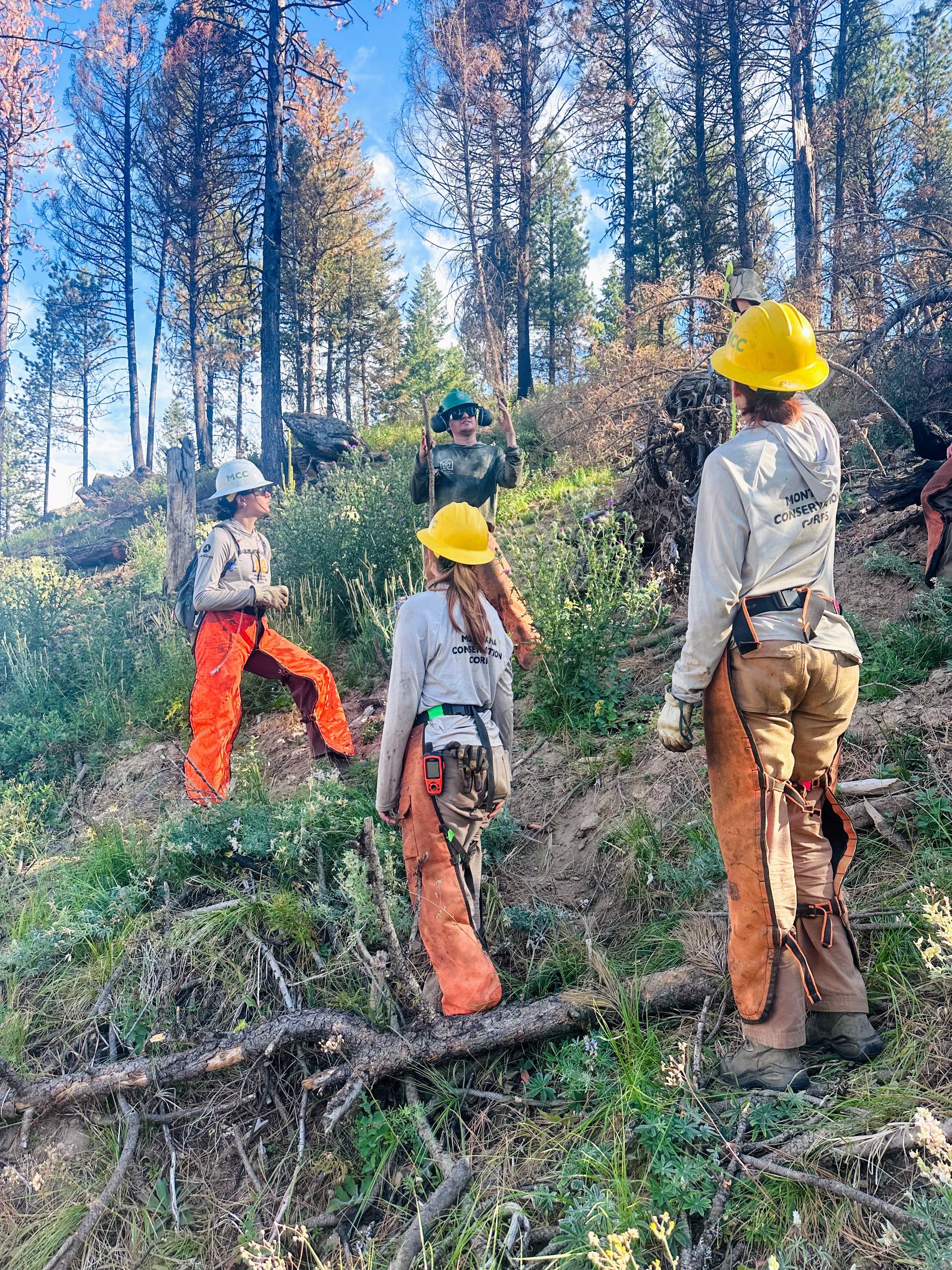 Crew members stand around field coordinator Todd and listen to his instruction.