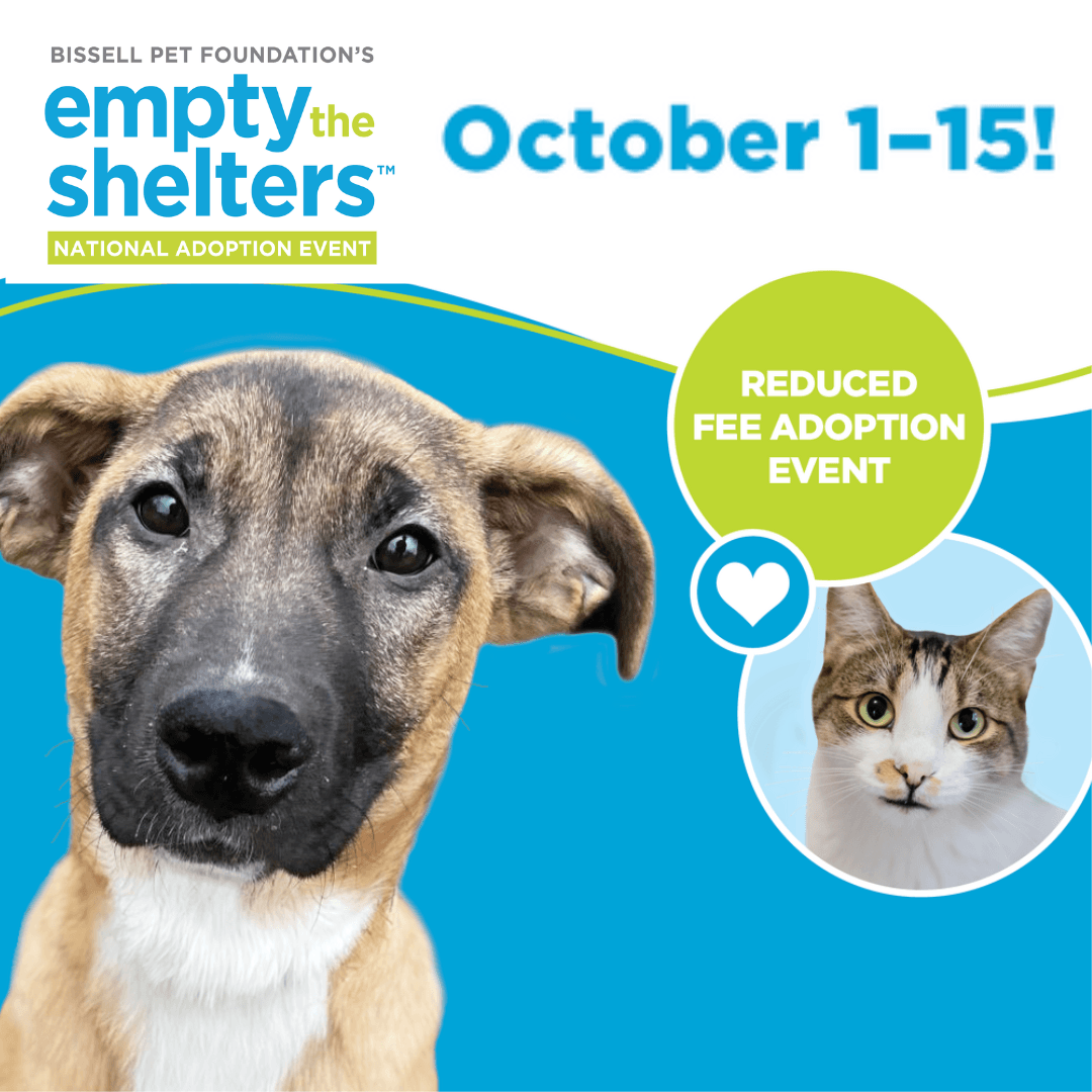 Empty the Shelters Adoption Event