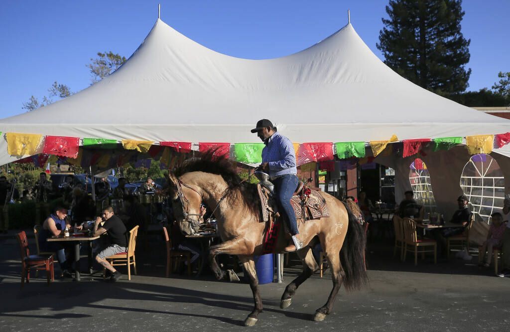 Man riding wild horse at Cinco de Mayo fesitval