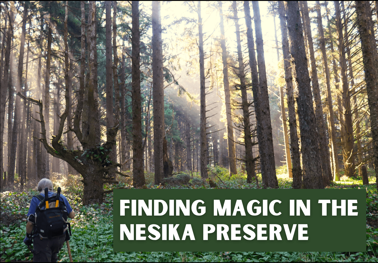 Wild Rivers Land Trust Announces our 2025 Volunteer of the Year