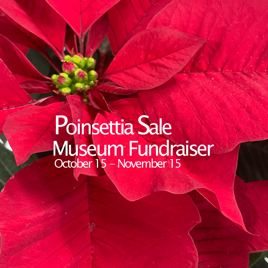 Poinsettia Sale