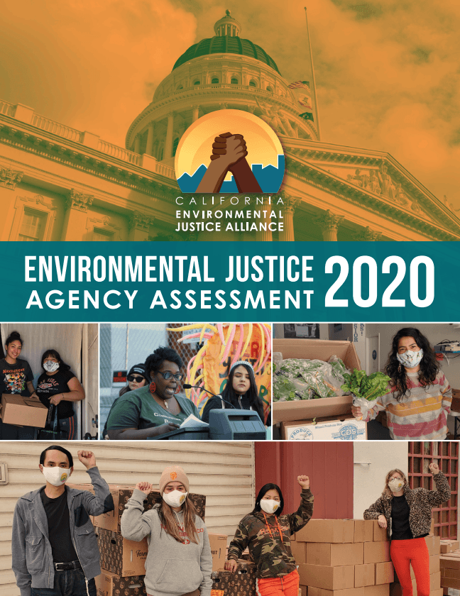 Environmental Justice Agency Assessment 2020