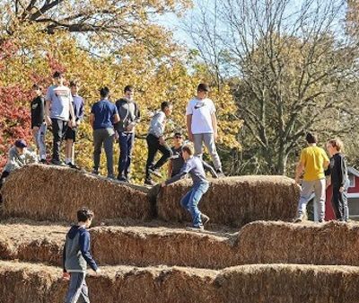 Teenage boys play on a pyramid made of hay bales in the sunshine on a Fall Day