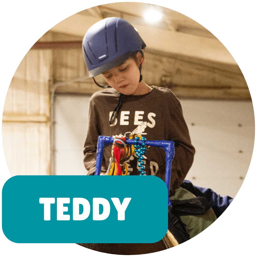 Teddy