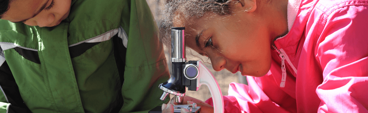 Two young children examining a microscope.