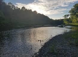 Cyndi Schill Memorial River Run