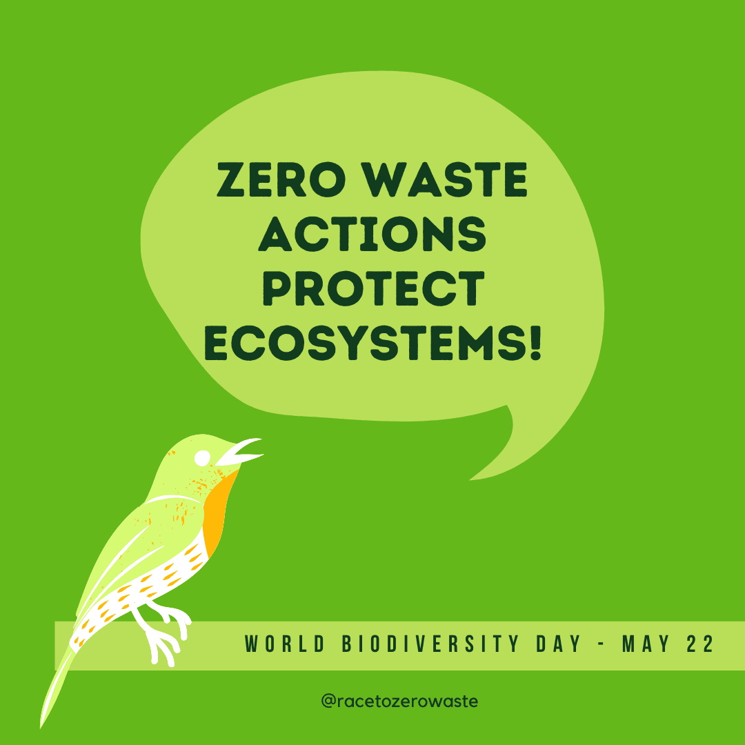 Zero Waste Actions Protect Ecosystems! 