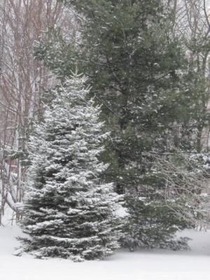 Daily Prayer February 23