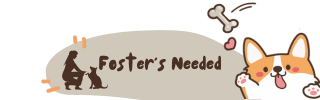 Foster Needed