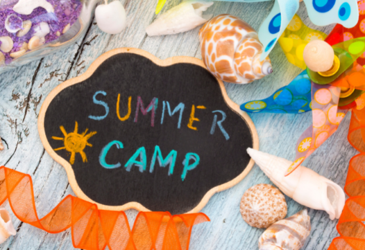 Summer Day Camp - $500+